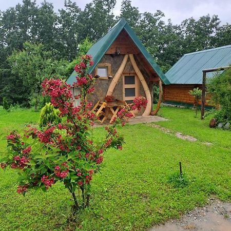 Gazela Bungalov 1 Mojkovac Bagian luar foto