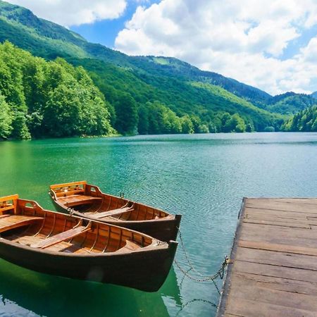 Gazela Bungalov 1 Mojkovac Bagian luar foto