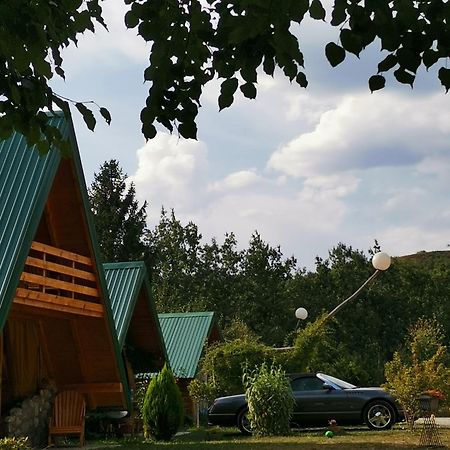 Gazela Bungalov 1 Mojkovac Bagian luar foto