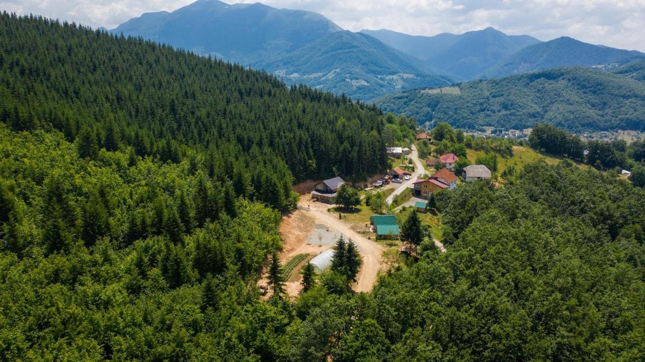 Gazela Bungalov 1 Mojkovac Bagian luar foto