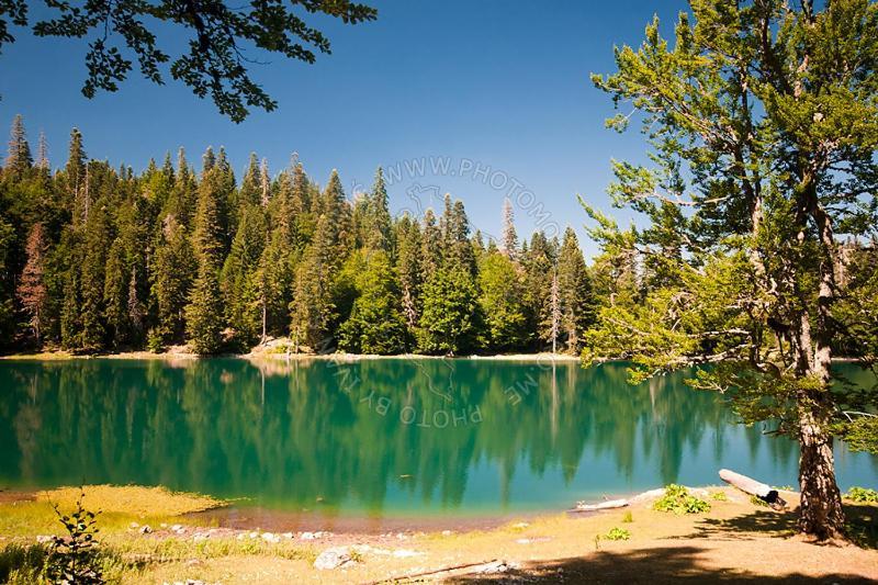 Gazela Bungalov 1 Mojkovac Bagian luar foto
