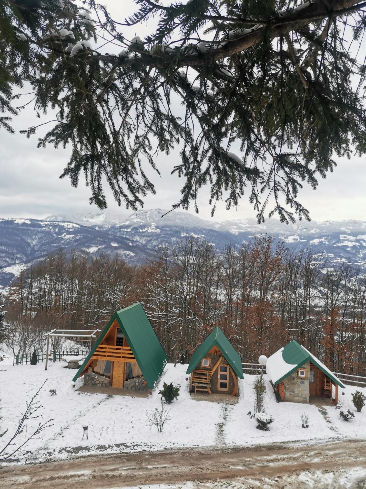 Gazela Bungalov 1 Mojkovac Bagian luar foto