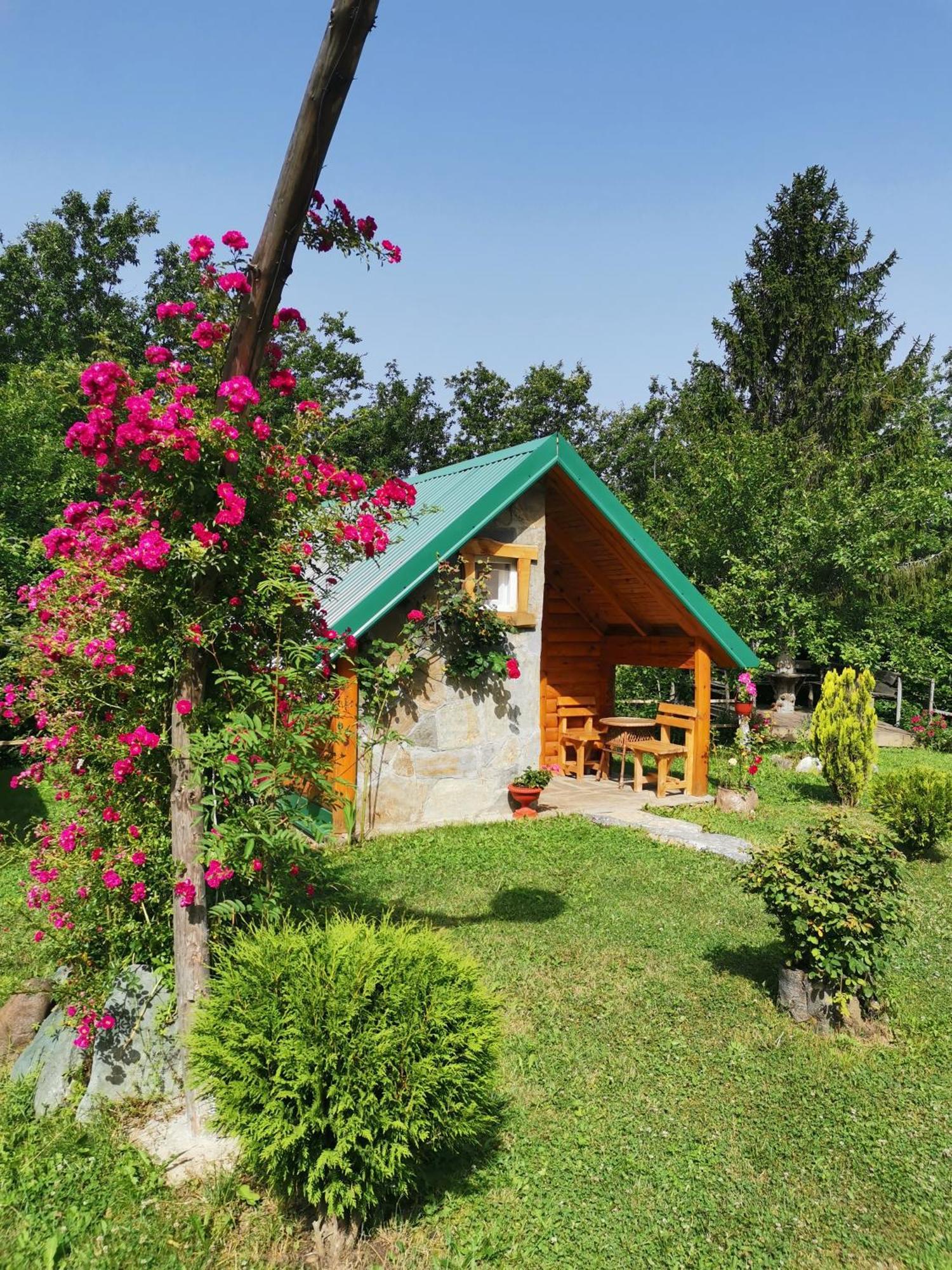 Gazela Bungalov 1 Mojkovac Bagian luar foto